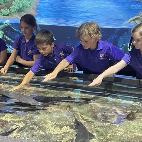 Boarding Schools in Georgia | Private Day School | 2nd Grade Tennessee Aquarium Field Trip