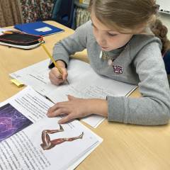 3rd Grade Literacy: Body Systems KWL Chart