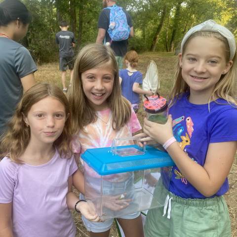 Collecting Insects for Insect Expo