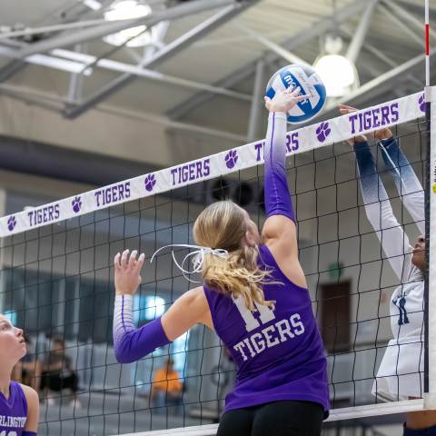 Darlington School Events: Private School in GeorgiaState Playoffs Round 1: Volleyball vs. Whitfield Academy